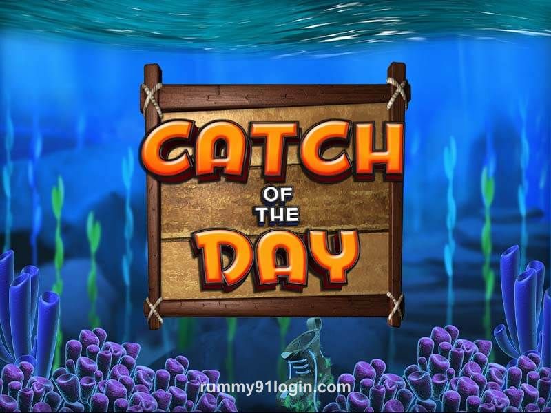 Catch of the Day Game